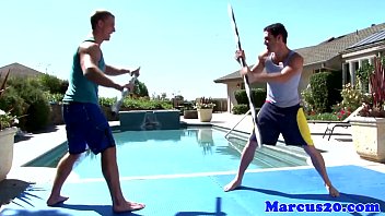 Combat de coqs gays