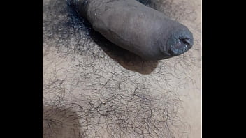 Coq palpitant gay